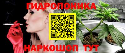 метадон Красноармейск