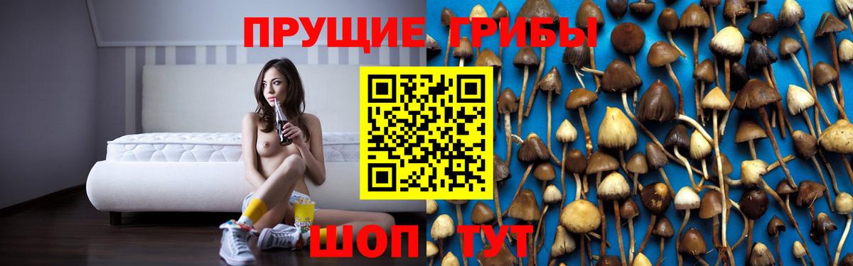 Псилоцибиновые грибы GOLDEN TEACHER  закладки  Воткинск  Псилоцибиновые грибы MAGIC MUSHROOMS  Вход с VPN 